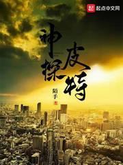 神探皮特电影在线观看