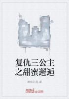 复仇三公主txt